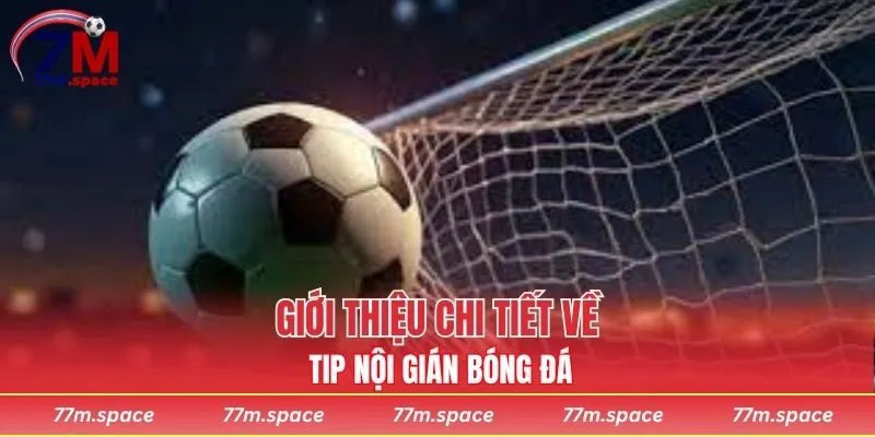 Giới thiệu chi tiết về tip nội gián bóng đá