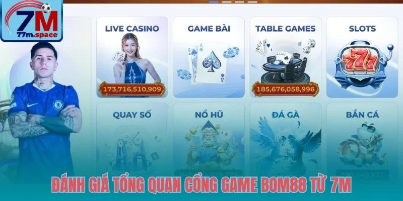 Phân tích vị thế và sức hút BOM88